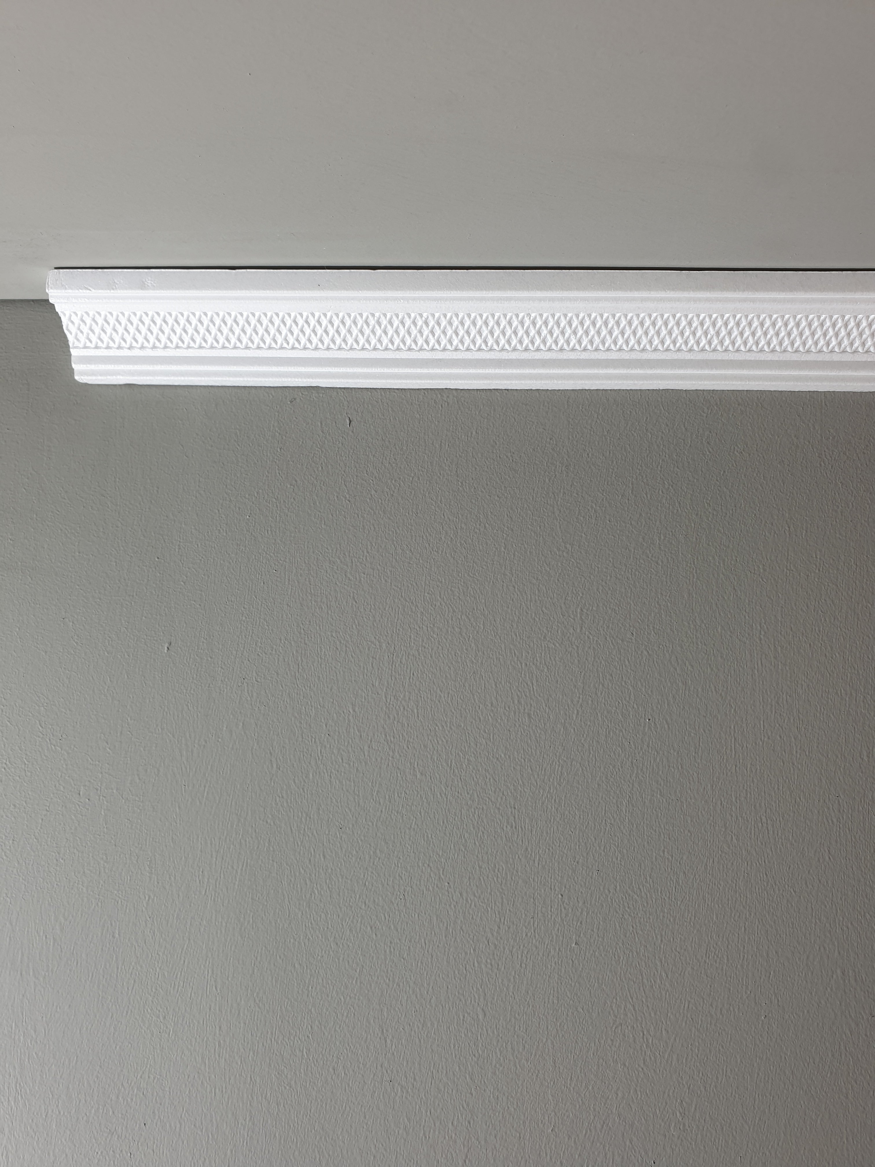 קרניז פוליסטירן דימוי רשת