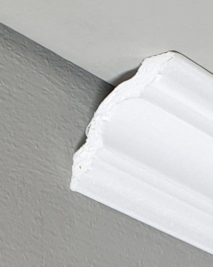 קרניז פוליסטירן במראה נקי