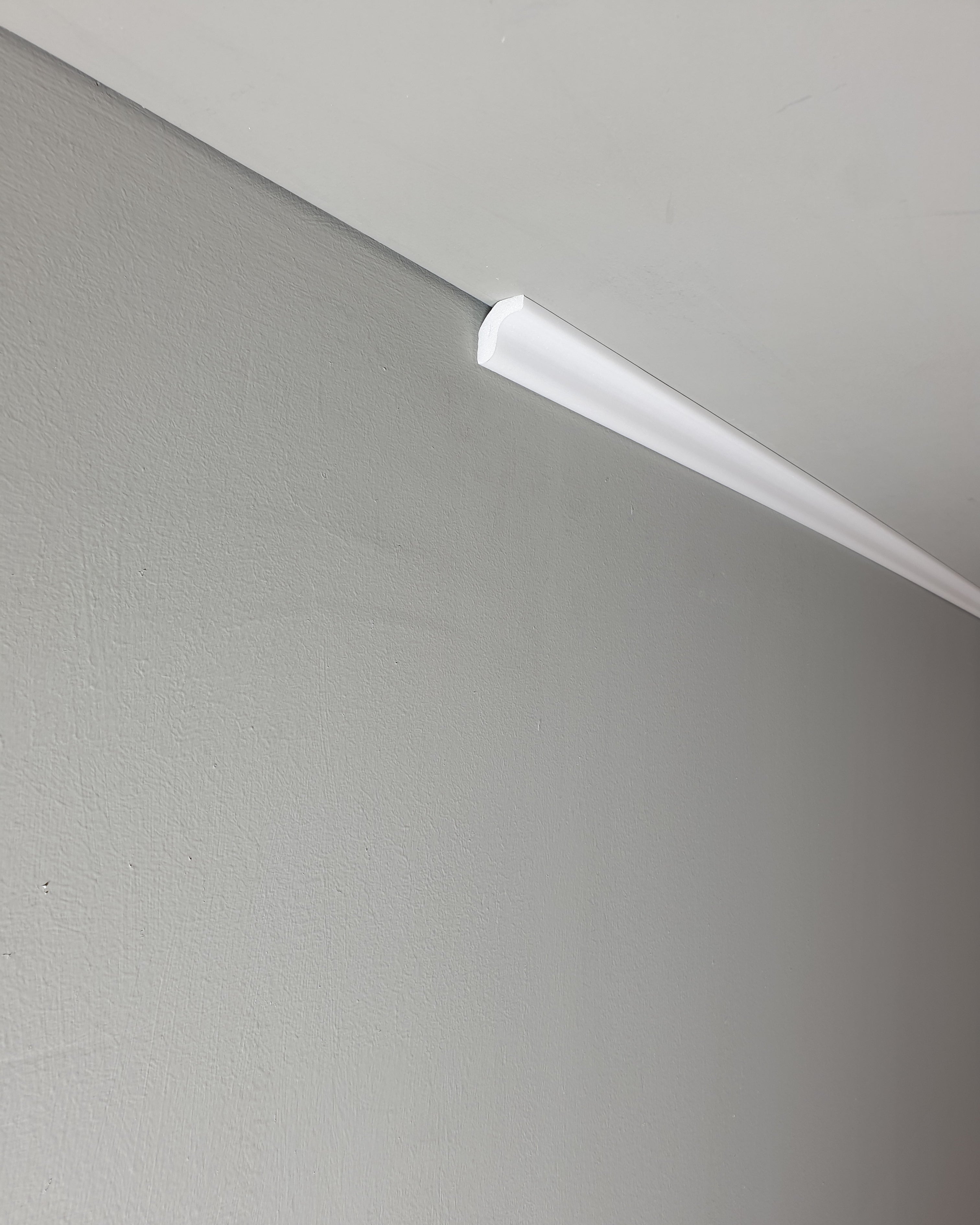 קרניז פוליסטירן דימוי מעודן