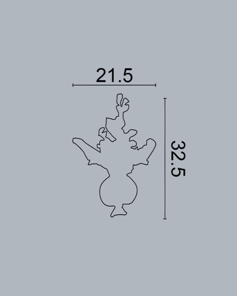 קישוט זר וקונכייה 232207