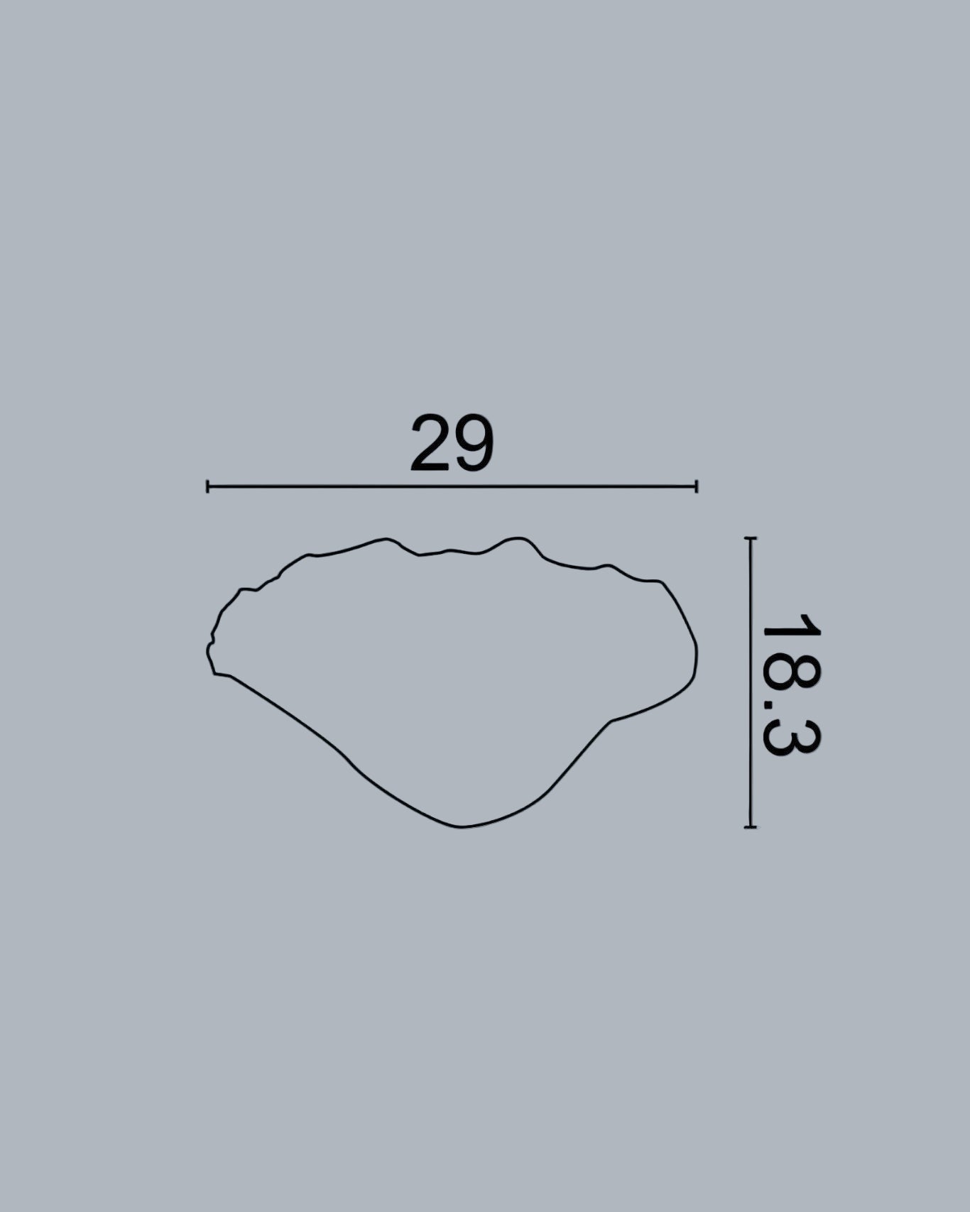 CB-12 קישוט בסגנון מניפת ים