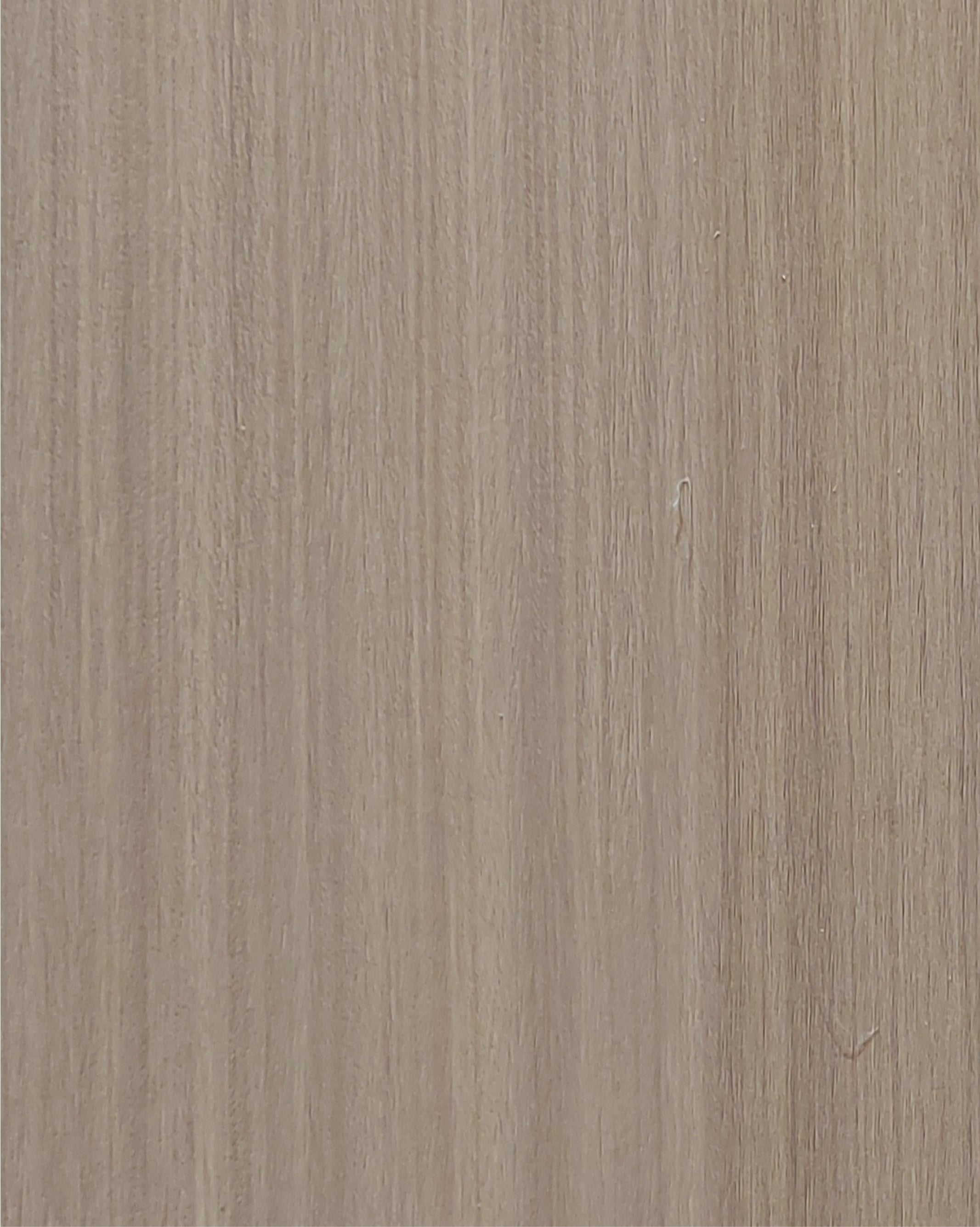 חיפוי קיר פורניר חלק