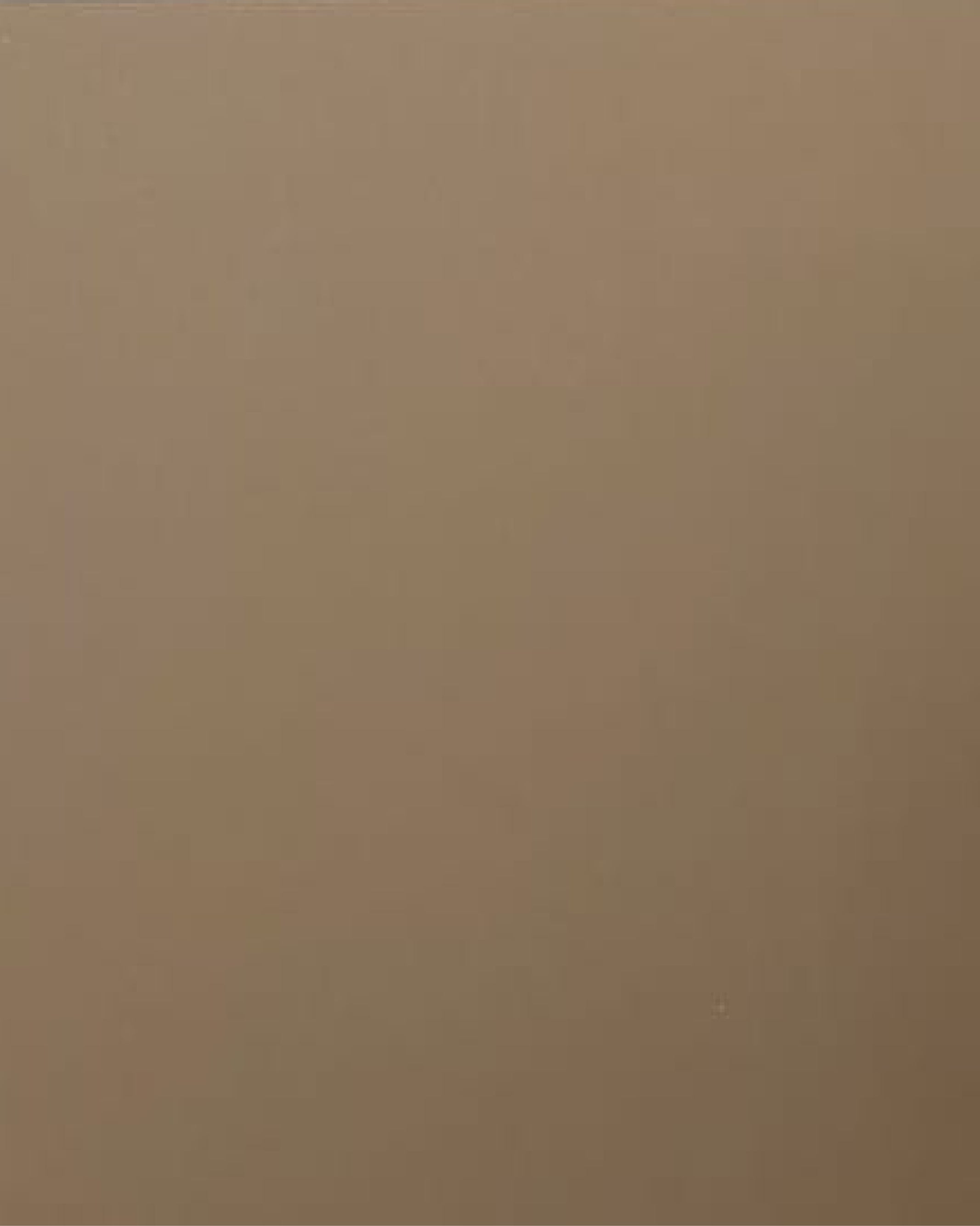 חיפוי קיר פורניר חלק